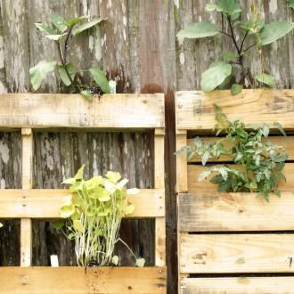 Gartengestaltung: Ideen & Tipps | Liebe Deinen Garten